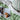 Cotton Cushion - Green Stripe