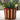 Tulip Basket - Red