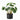 Copper Plant - Green