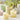 Venecia Glass Flower Pot - Large Yellow