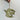 Screenprinted Wooden Decoration - Olive Green Bird
