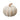 Pumpkin Decoration - White