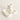 Desk Pencil Holder - Shell White