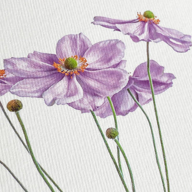 Card - Anemone
