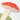 Stand-up Card - Toadstool