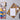 Pigeon Folding Letter Set – Golden Flight
