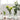 Broadwell Glass Vase - Medium