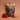 Hot Chocolate - Hazelnut
