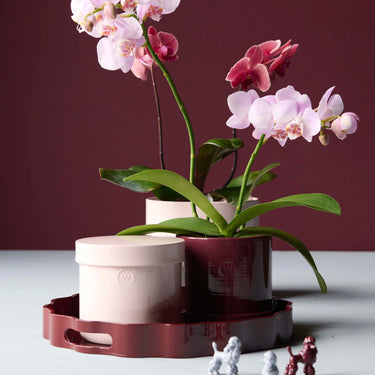 Yen Tray - Burgundy