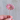 Large Ceramic Daisy - Fuchsia