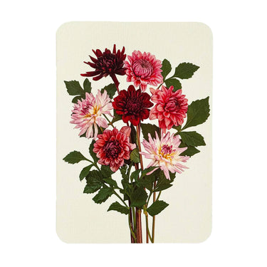 Card - Garden Dahlias