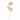 Coral Stem - Gold