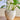 Maham Flowerpot - Nature