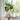 Lillian Vase - Off White Medium