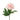 Peony Stem - Rose
