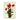 Card - Wild Poppies