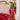 Quilt - Red Cross Stitch